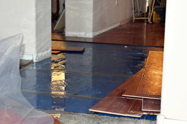 Professional Burst Pipe Cleanup technician working in Bradford, RI